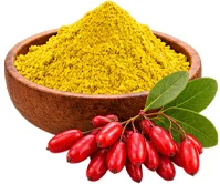 Berberine in {{OFFER_NAME}}