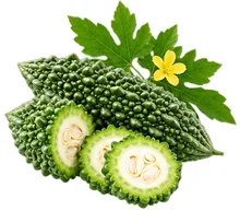 Bitter gourd in {{OFFER_NAME}}
